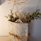 Sac, Carton Décoré, Macrame, Rafia, Verdure