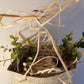 Sac, Carton Décoré, Macrame, Rafia, Verdure