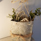 Sac, Carton Décoré, Macrame, Rafia, Verdure