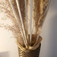 Vase, Plumeaux,  Papier Kraft