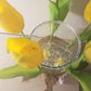 Vase, Tulipes Jaunes, Ruban Toile de Jute