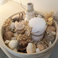Coquillage, Plateau Bois Décoré de Coquillages