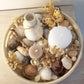Coquillage, Plateau Bois Décoré de Coquillages