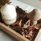 Plateau Automnal, Champignon, Feuilles..