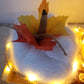 Plateau de Citrouilles, Laine,Tissu Orangé,  Papier Kraft