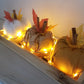 Plateau de Citrouilles, Laine,Tissu Orangé,  Papier Kraft