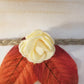 Cadre Orangé, Feuilles couleur Automne , Rose