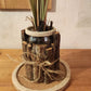 Vase Bois Sur Tapis